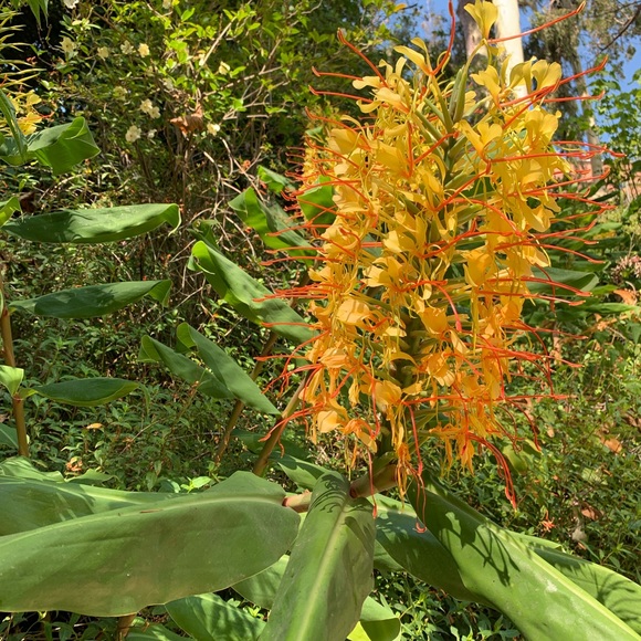 Meet your Posher, Josh - Picture 6 of 8